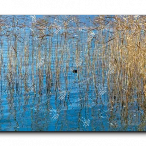 Abstract canvas art study 033, landscape composition
