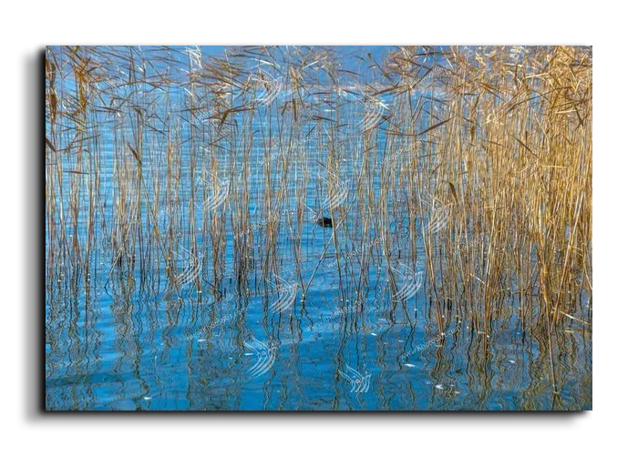 Abstract Painting رسم تجريدي canvas artwork