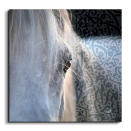 Arabian Horse خيول عربية canvas artwork