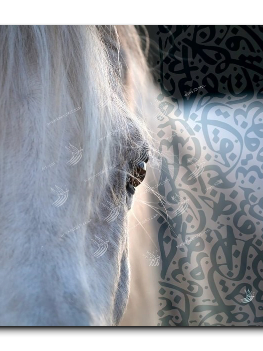 Canvas Painting Arabian Horse خيول عربية