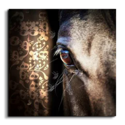 Arabian horse canvas art, square, Beige, Black, and Brown