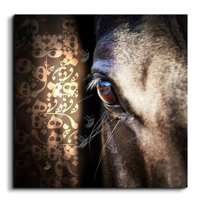 Arabian Horse خيول عربية canvas artwork