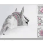 Arabian Horse خيول عربية canvas artwork