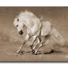 Arabian Horse خيول عربية canvas artwork