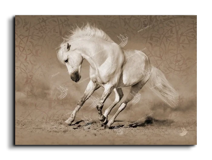 Arabian Horse خيول عربية canvas artwork