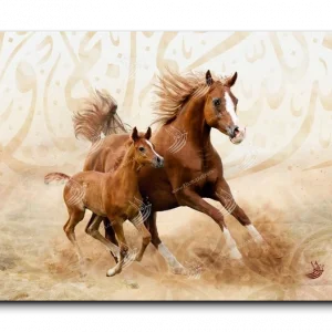 Arabian Horse خيول عربية canvas artwork