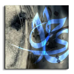 Arabian horse canvas art, square, Black and white, Blue, and White
