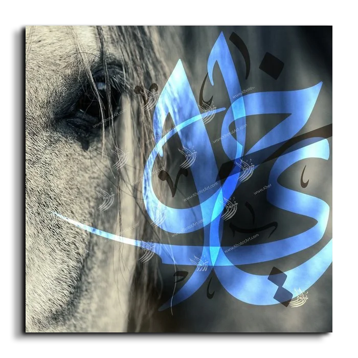 Arabian Horse خيول عربية canvas artwork