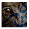 Arabian Horse خيول عربية canvas artwork