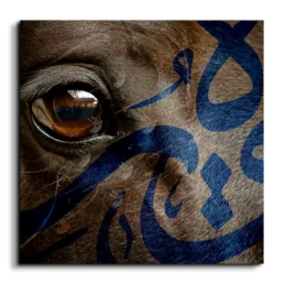 Arabian horse canvas art, square, Black and white, Blue, and White