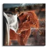 Arabian Horse خيول عربية canvas artwork