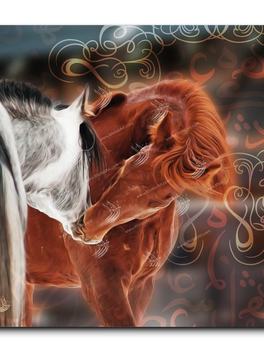 Canvas Painting Arabian Horse خيول عربية