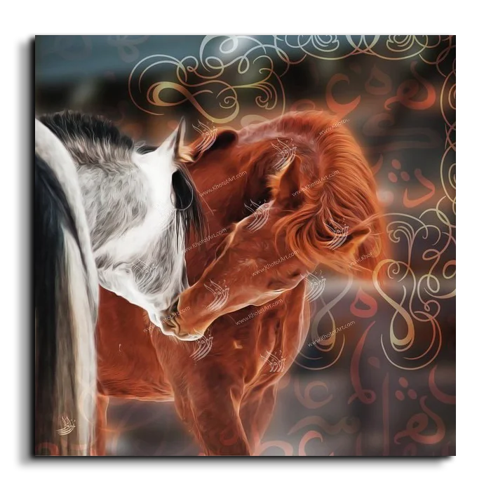 Arabian Horse خيول عربية canvas artwork