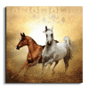 Arabian Horse خيول عربية canvas artwork