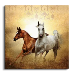 Arabian horse canvas art, square, Beige, Black, and Brown