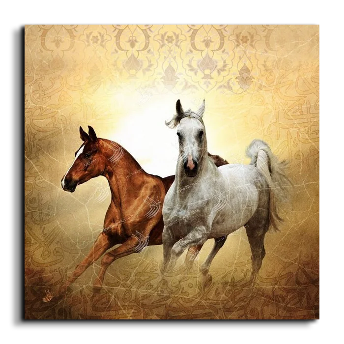 Arabian Horse خيول عربية canvas artwork