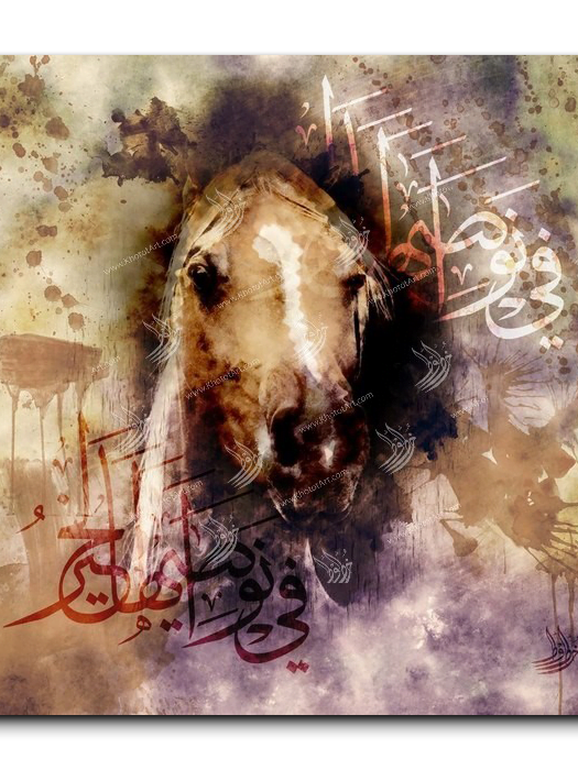 Arabian Horse خيول عربية