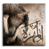 Arabian Horse خيول عربية canvas artwork