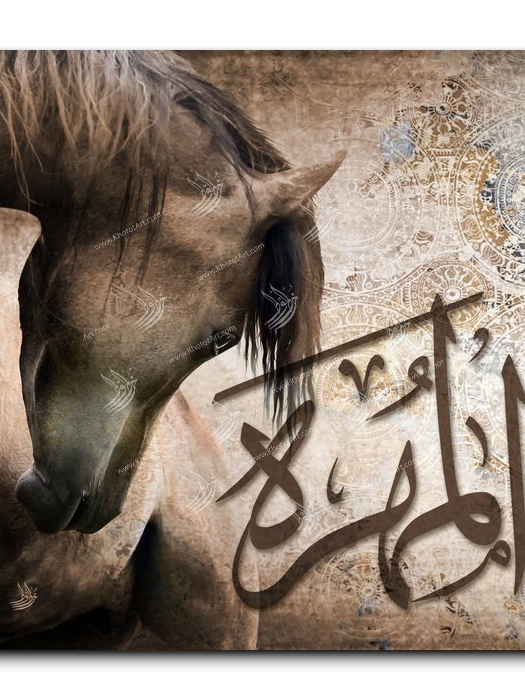 Canvas Painting Arabian Horse خيول عربية