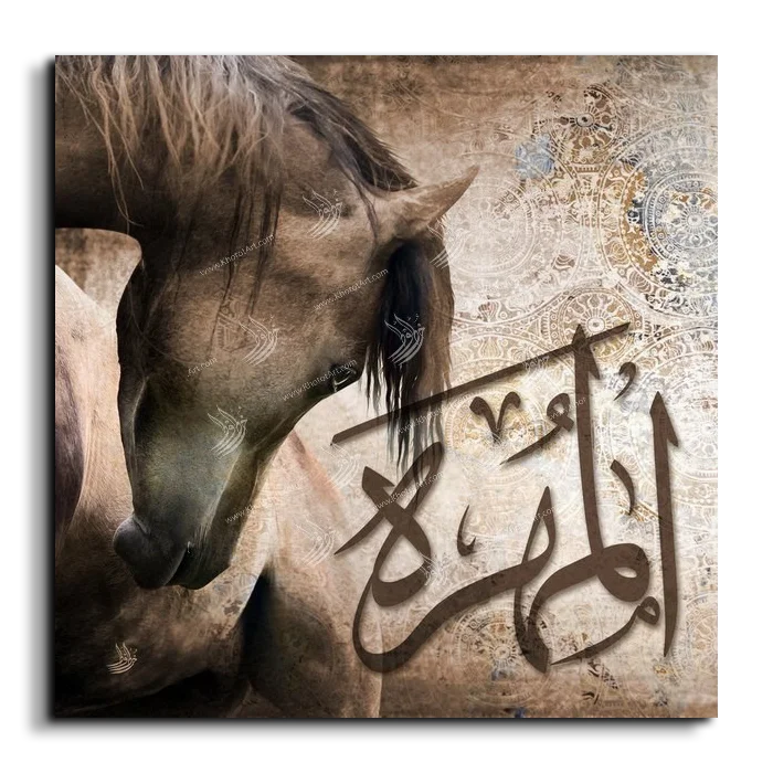Arabian Horse خيول عربية canvas artwork