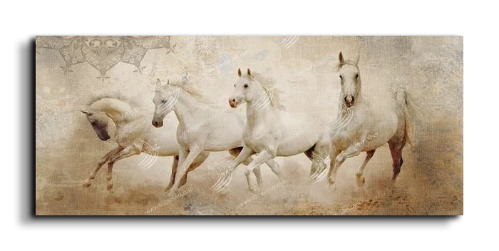 Arabian Horse خيول عربية canvas artwork