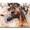 Arabian Horse خيول عربية canvas artwork