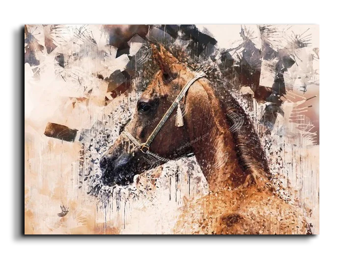 Arabian Horse خيول عربية canvas artwork