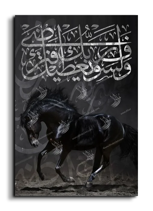 Arabian Horse خيول عربية