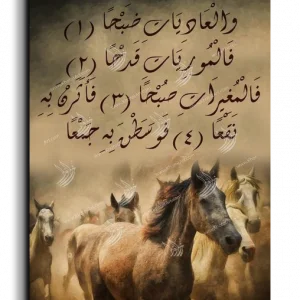 Arabian Horse خيول عربية