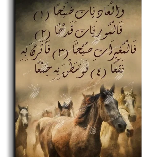 Arabian Horse خيول عربية