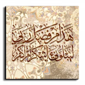 This is of the grace of my Lord هذا من فضل ربي