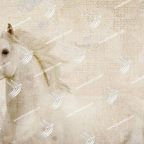 Arabian Horse خيول عربية Canvas Painting