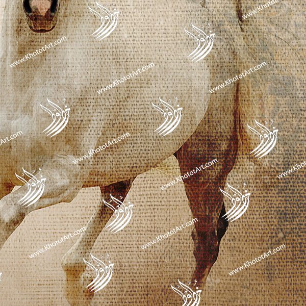 Arabian Horse خيول عربية Canvas Painting